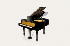  Edelweiss Classic Black Flugel - 4281229