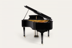  Edelweiss Classic Black Flugel - 4281231
