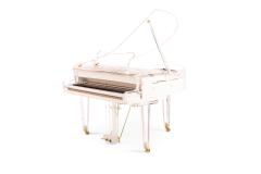  Edelweiss Edelweiss S132 Transparent - 4328895