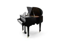  Edelweiss The Classic Black G52 Sygnet - 4289644