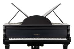  Edelweiss The Classic Black G52 Sygnet - 4289646