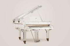  Edelweiss The Transparent Flugel - 4281234