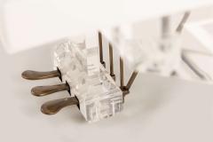  Edelweiss The Transparent Flugel - 4281235