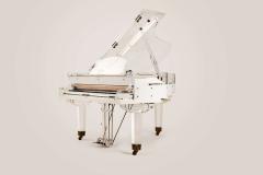  Edelweiss The Transparent Flugel - 4281239