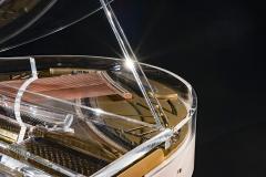  Edelweiss The Transparent S132 - 4281244