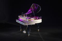  Edelweiss The Transparent S132 - 4281245