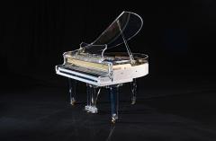  Edelweiss The Transparent S132 - 4281250