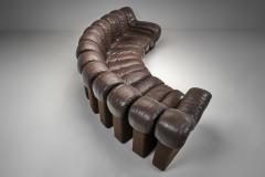  Eleanore Peduzzi Riva DS 600 Snake Sofa by Berger Peduzzi Riva Ulrich and Vogt Switzerland 1972 - 4685268