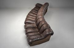  Eleanore Peduzzi Riva DS 600 Snake Sofa by Berger Peduzzi Riva Ulrich and Vogt Switzerland 1972 - 4685270