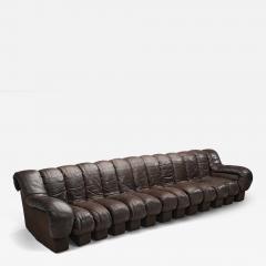  Eleanore Peduzzi Riva DS 600 Snake Sofa by Berger Peduzzi Riva Ulrich and Vogt Switzerland 1972 - 4692050