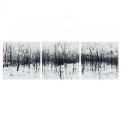  Elena Lyakir Elena Lyakir Triptych Feels Like Home Bridgehampton NY Photograph 2016 - 3538600