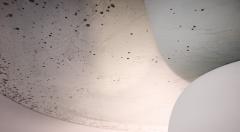 Emmanuel Levet Stenne and Nicolas S bastien Reese Shade hanging light by Emmanuel Levet Stenne and Nicolas S bastien Reese - 4365301