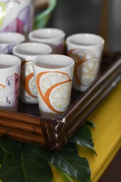  Ernestine Ernestine Ceramiche Salerno 1950 table set N 1 jug n 8 hand painted glasses - 3737232