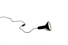  Established Sons Torch Light - 4359686