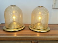  Fabbian Pair of Lamps Brass and Gold Bubble Murano Glass by F Fabbian Italy 1970s - 3600897
