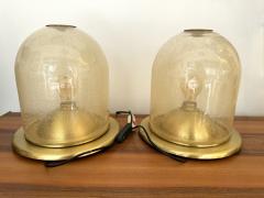  Fabbian Pair of Lamps Brass and Gold Bubble Murano Glass by F Fabbian Italy 1970s - 3600925
