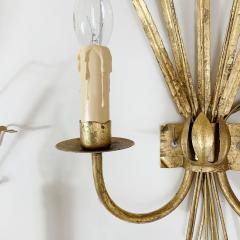  Ferro Art Ferro Art Gilt Bulrush Wall Lights 1970 s - 3030685