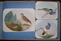  G RAUBER G RAUBER GERMAN GEFIEDERTES VOLK FEATHERED FOLK  - 2922831