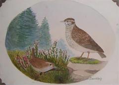  G RAUBER G RAUBER GERMAN GEFIEDERTES VOLK FEATHERED FOLK  - 2923438