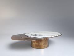  GRZEGORZ MAJKA LTD Epicure VII Contemporary Coffee Table - 4142595