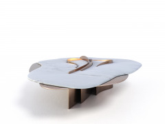  GRZEGORZ MAJKA LTD Feline VIII Contemporary Coffee Table - 3945514