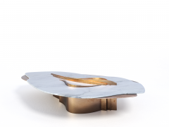  GRZEGORZ MAJKA LTD Feline VIII Contemporary Coffee Table - 3945516