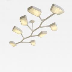  Gaspare Asaro Orchid N 8 - 4761857