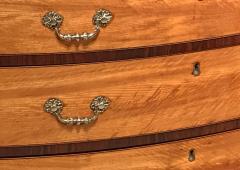  Gillows of Lancaster London George III Satinwood Kingwood Chest of Drawers - 4312503