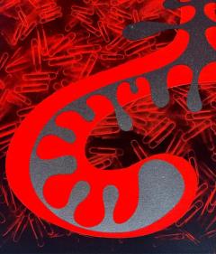 Gustavo Oviedo Mixed Media Abstract Painting by Miami Artist Gustavo Oviedo Titled Spinal 2021 - 3609221