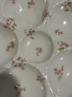  Haviland Co SET OF SIX EXQUISITE ANTIQUE FRENCH PORCELAIN FLORAL LIMOGES OYSTER PLATES - 3752773