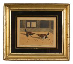  Henry Thomas ALKEN English Victorian Cock Fight Lithograph - 4654476