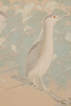  Ikegami Shuho Night Herons 1930s - 3563530