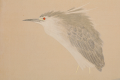  Ikegami Shuho Night Herons 1930s - 3563531