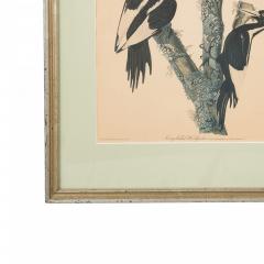  J J Audubon J J Audubon Woodpeckers Color Print - 3186272