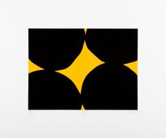  JAN HENDRIX A N Y After Nature Yellow by JAN HENDRIX - 2882367