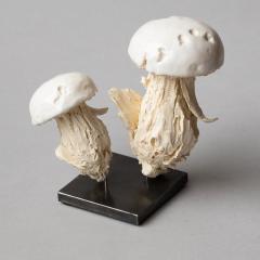  Jean Paul Gourdon SCULPTURE OF TWO MUSHROOMS IN UNGLAZED AND GLAZED WHITE FA ENCE - 3551063