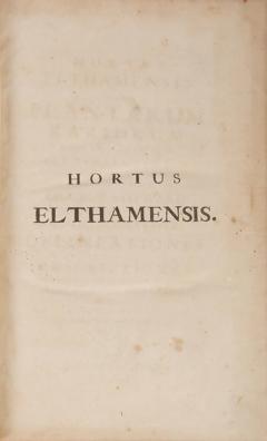  Johan Jakob DILLENIUS Hortus Elthamensis seu Plantarum Rariorum by Johan Jakob DILLENIUS - 3977784