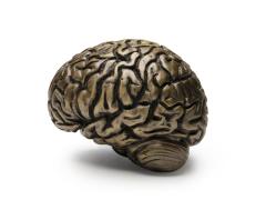  John Lyle Design EINSTEIN SCULPTURE - 4160291