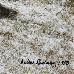  Julius Shulman Rare Julius Shulman Color Photo Eames House - 4030306
