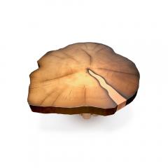 Kanttari Modern Round Coffee Table in Live Edge Wood Copper or Brass - 3181946