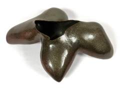  Kazuo Takiguchi Amoeboid Brown - 3016302