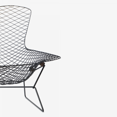  Knoll Early Bertoia Bird Chair in Outdoor Grade Powdercoat by Harry Bertoia for Knoll - 2054743