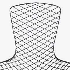  Knoll Early Bertoia Bird Chair in Outdoor Grade Powdercoat by Harry Bertoia for Knoll - 2054746