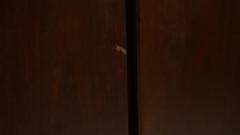  Knoll Mid Century Modern Sideboard by Hans von Klier for Skipper Italy 1970s - 4540131