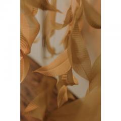  Larose Guyon Saule S 05 - 4449831