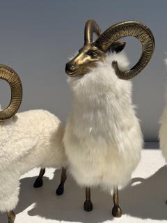  Les Lalanne Set of Three Brass and Fur Mountain Sheep Ram Sculptures - 4699851