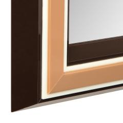  Les Prismatiques Chic Les Prismatiques Mirror with Frame in Molded Lucite 1970s Signed  - 2145463