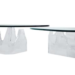  Lion in Frost Sculptural Pair of Free Form Coffee Tables in Lucite with Glass Tops 1970s  - 2190323