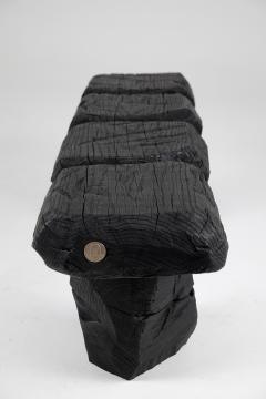  Logniture Black Burnt Wood Brutalist Bench Outdoor Indoor Natural and Eco Friendly - 3651835