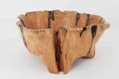  Logniture Live Edge Bathtub Carved from Single Piece of Wood Fully Functional Logniture - 4306297